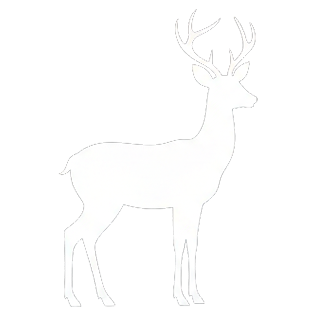 Wildlife Removal