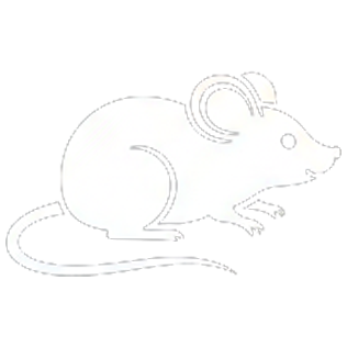 Mouse Removal