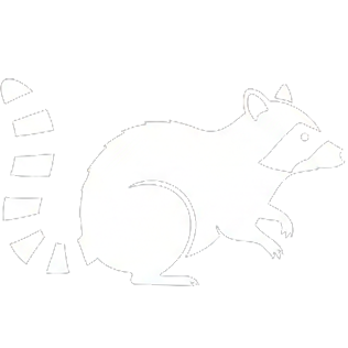 Racoon Removal