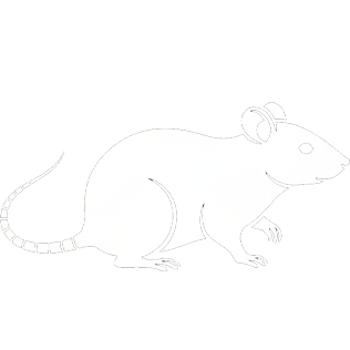 Rat Removal