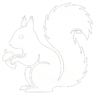Squirrel Removal